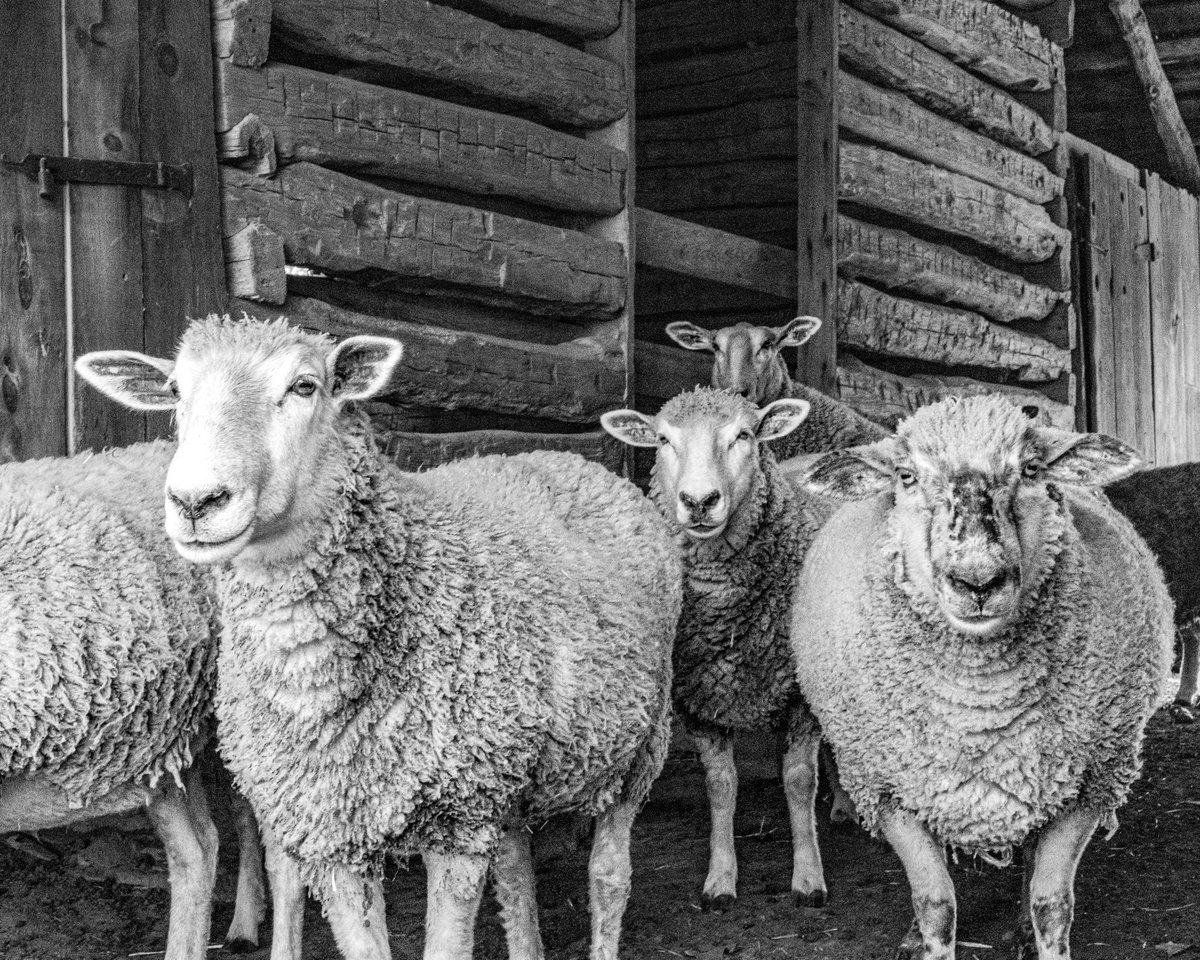 #blackandwhitephotography #blackandwhitephoto #streetphotography #photooftheday
 #photography  #photo #foto #photographer  #picoftheday  #canonphotography #monochrome