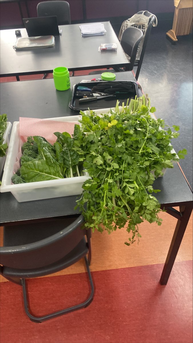WhitefriarsColl's tweet photo. #WFCLearning What's better than a 'harvest' for some great hands-on learning? Our VCAL students harvested the winter-grown veggies including, Cos Lettuce, Little Finger Carrots, Broccoli, Coriander, Beetroot and Baby SilverBeet.
#vegetables #VCAL #sustainability #belong https://t.co/nVmJ7LDOva