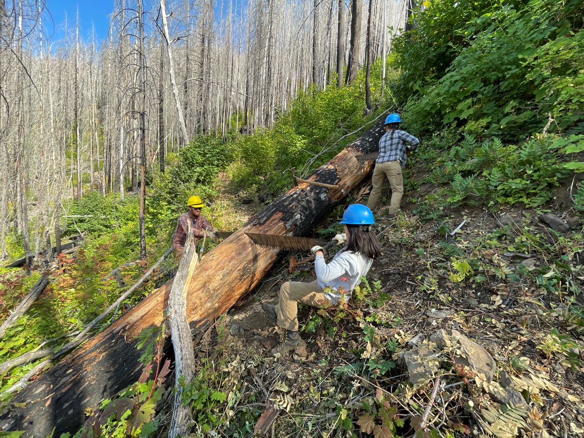 ColumbiaRiverGorgeFS tweet media