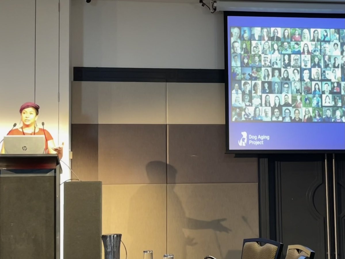 Lara Mouttham from <a href="/DogAgingProject/">Dog Aging Project</a> opening Day 3 at ABNA 2022 Perth 🐶 #biobanking #ABNA2022Perth <a href="/ABNAonline/">ABNA</a>