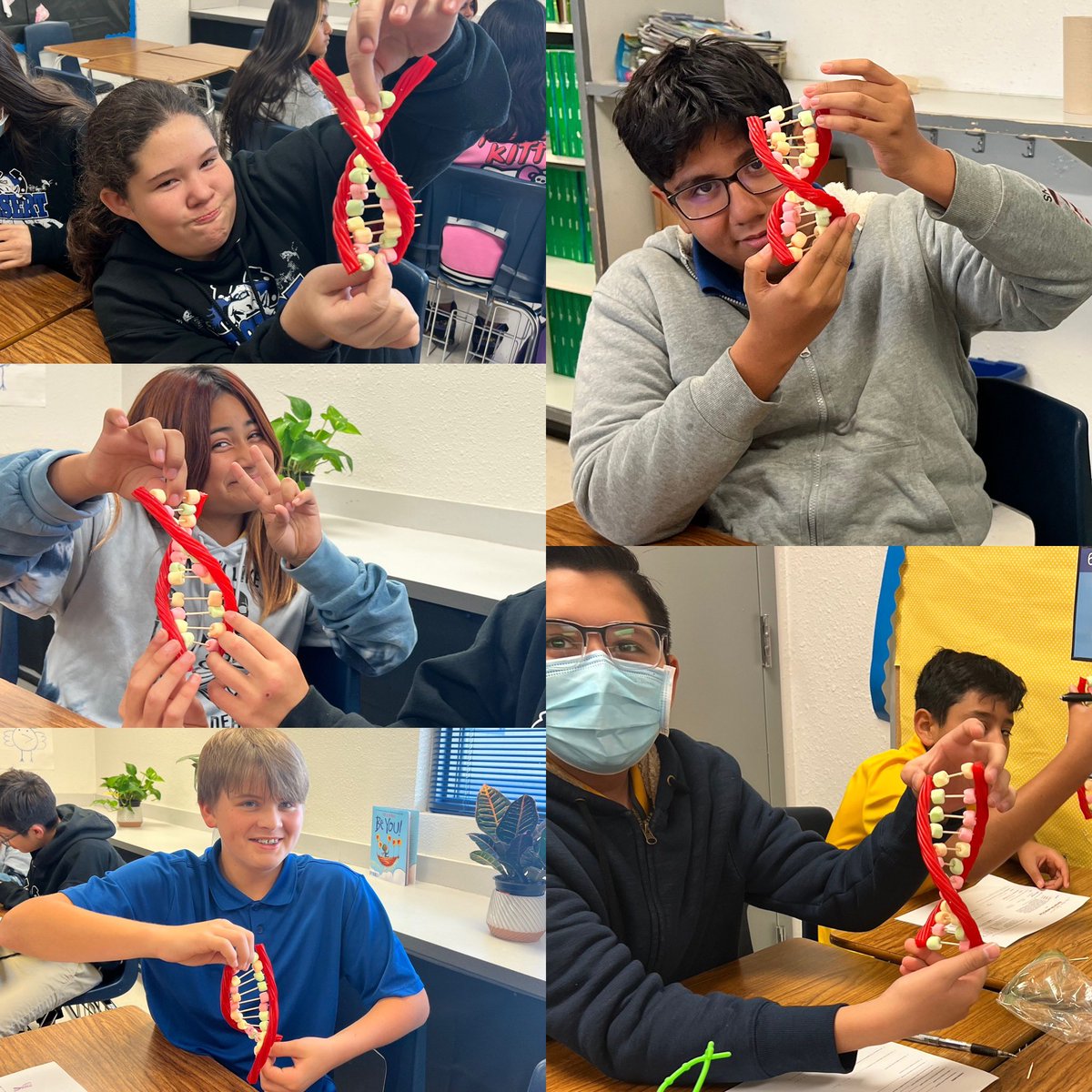 Check out our DNA models 🧬 #ColtNation #NoStraightLineToSuccess #TeamSISD