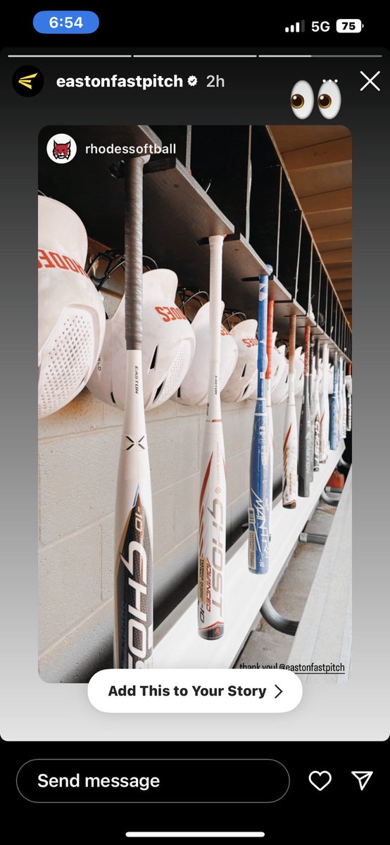 RhodesSoftball's tweet photo. NEWS | Thank you @EastonFastpitch for allowing us to Rep your company and brand! 🥎 We are feeling pretty! 🤩 https://t.co/enZkGn7eUb