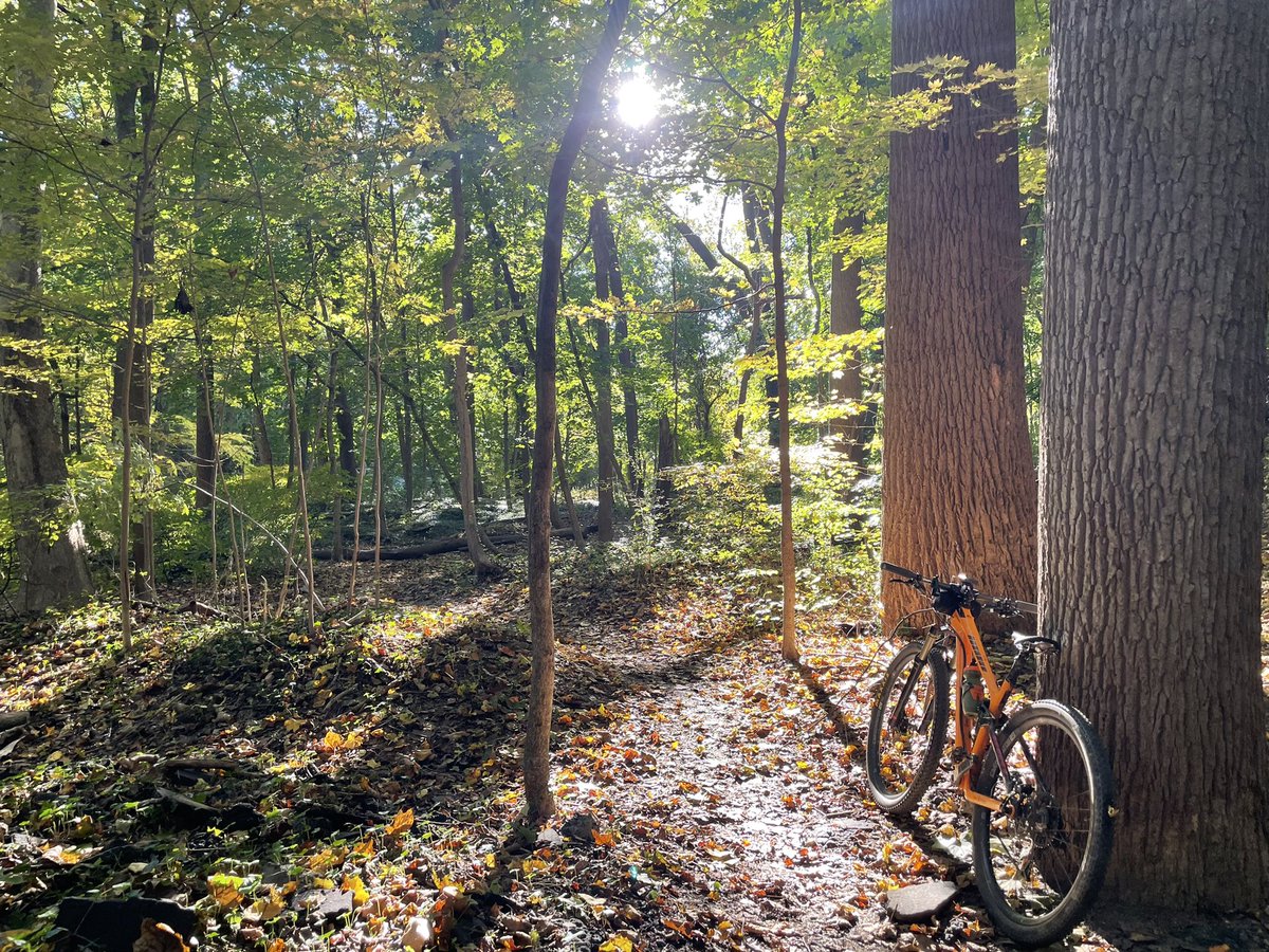 jlivingood's tweet image. Fall feelings! #fallfeelings #Autumn