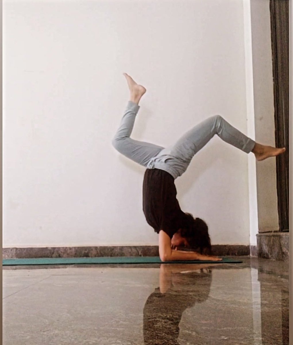 Monika48779734's tweet photo. Forearmbalance
▶️Strengthens the shoulders, arms and core.
▶️Good balancing practice.
▶️Energises mind and body.
#forearmstand #yoga #pincha #yogapractice #yogainspiration #inversion
Video link
https://t.co/Nj2lUSkP0X https://t.co/8O3DrHOhzh