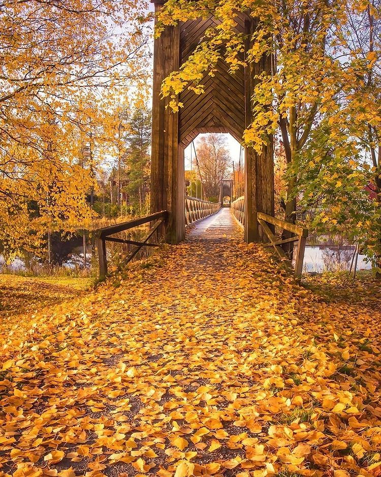 coco_p2a's tweet image. Good morning !