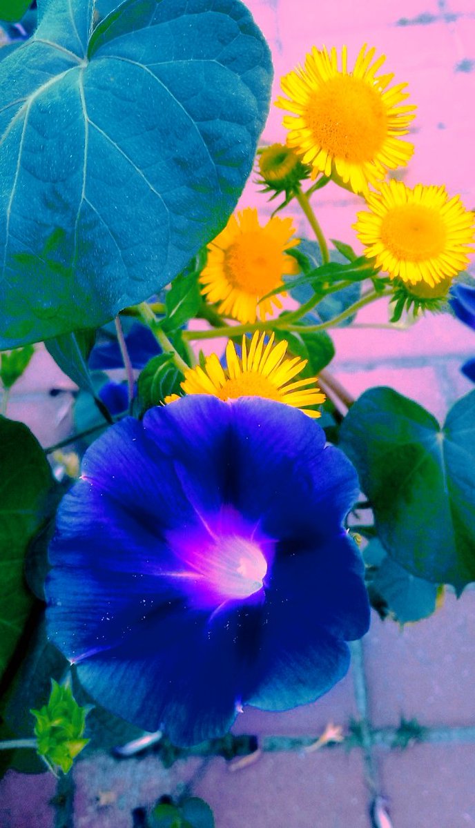 TimeKindness tweet picture