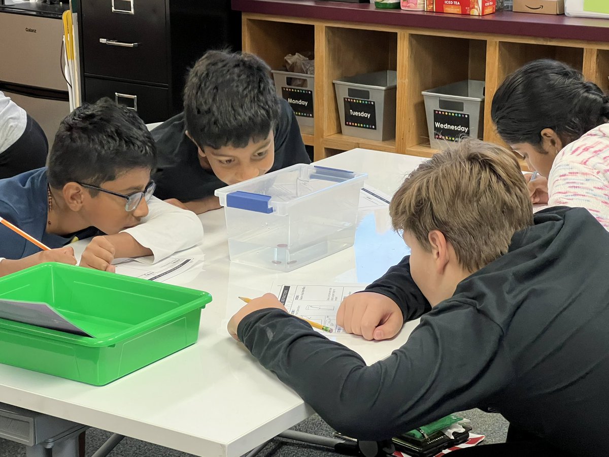 CarrieBoyleCISD's tweet photo. We had amazing discussions in science today about refraction after our inquiry stations! @AustinElem #AustinOurStory #CISD_Science https://t.co/rlPkjfFip2
