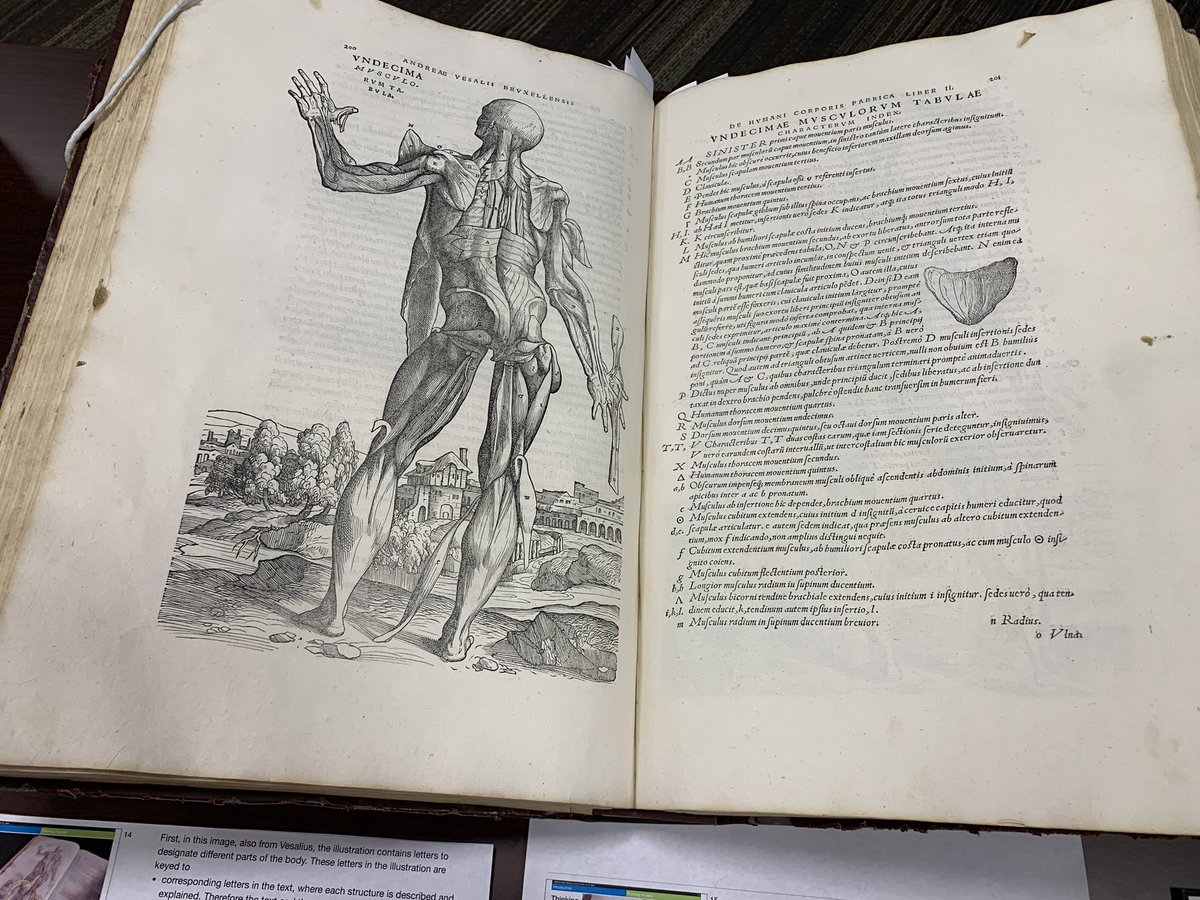 Vidya Setlur tweet media