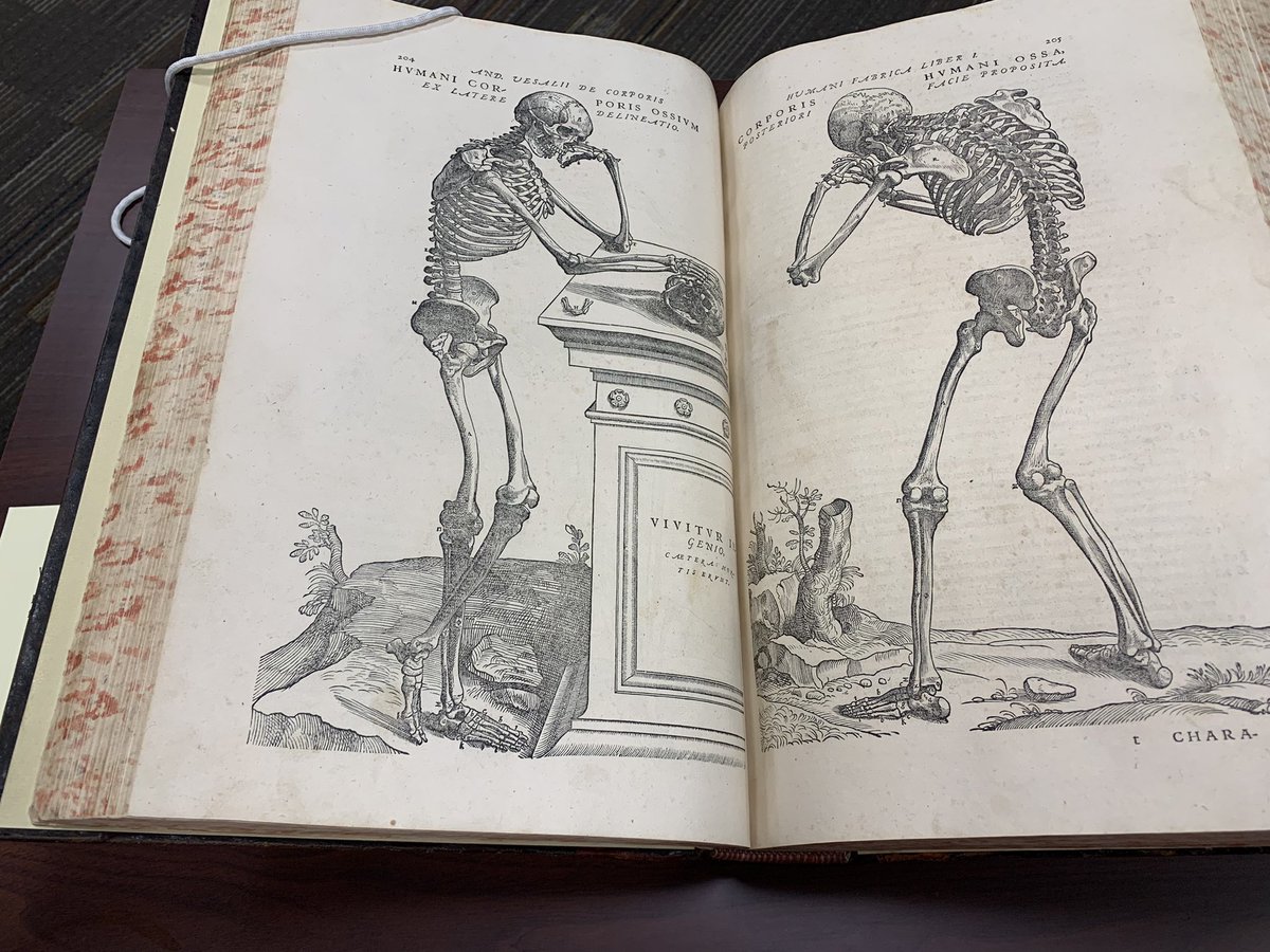 Vidya Setlur tweet media