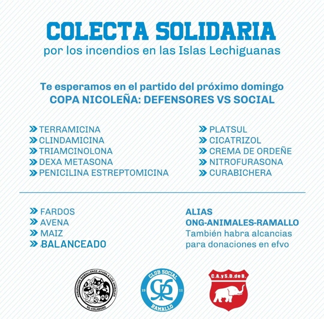 ClubSocialRllo's tweet photo. En el próximo clásico, nos uniremos por los incendios en las islas 🇫🇲🤝🇱🇻

Junto con el club @defensoresvrllo le daremos una mano a la ONG Animales Ramallo, organizando una COLECTA SOLIDARIA en la cancha.

👉Todo lo que puedas donar, es de gran ayuda
#LeyDeHumedalesYa 💪🏻🌱🦜🦦🌿 https://t.co/vd9eci4KpA
