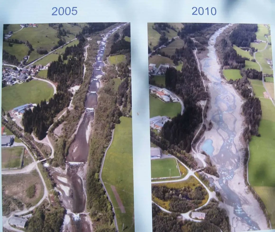 Pangea Movement tweet media