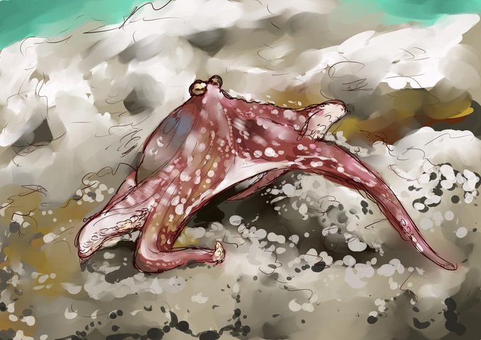 何周か前にダーウィンがきたでやってた、陸を歩く蛸、アナダコ。体を引き摺るのではなく、触腕で体を持ち上げながら交互に触腕を動かして歩いていたというのが印象的でした。昔の尻尾を引き摺... https://t.co/cO9eVHwOKg 