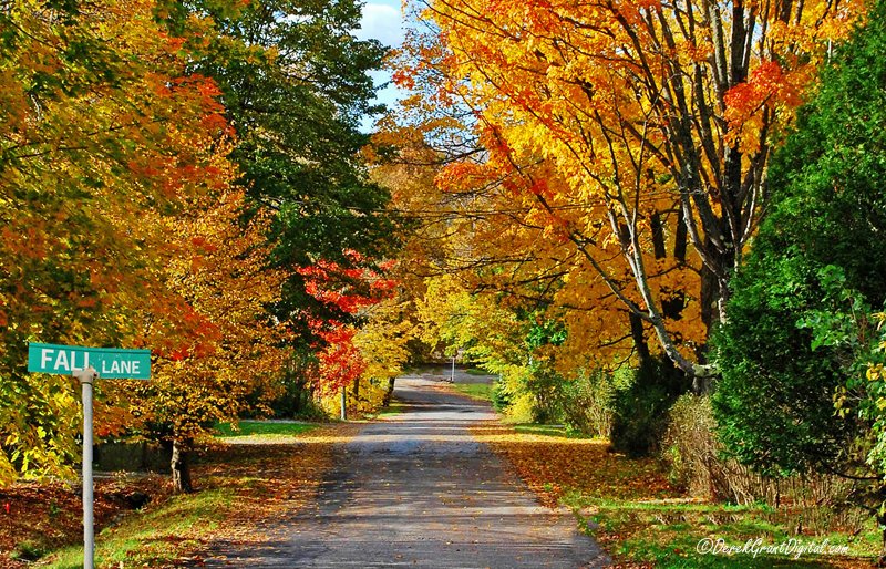 Apt Lane Name ~ #Colourfulfall #ThePhotoHour #StormHour #AutumnVibes #AutumnColors #ExploreNB #ExploreCanada