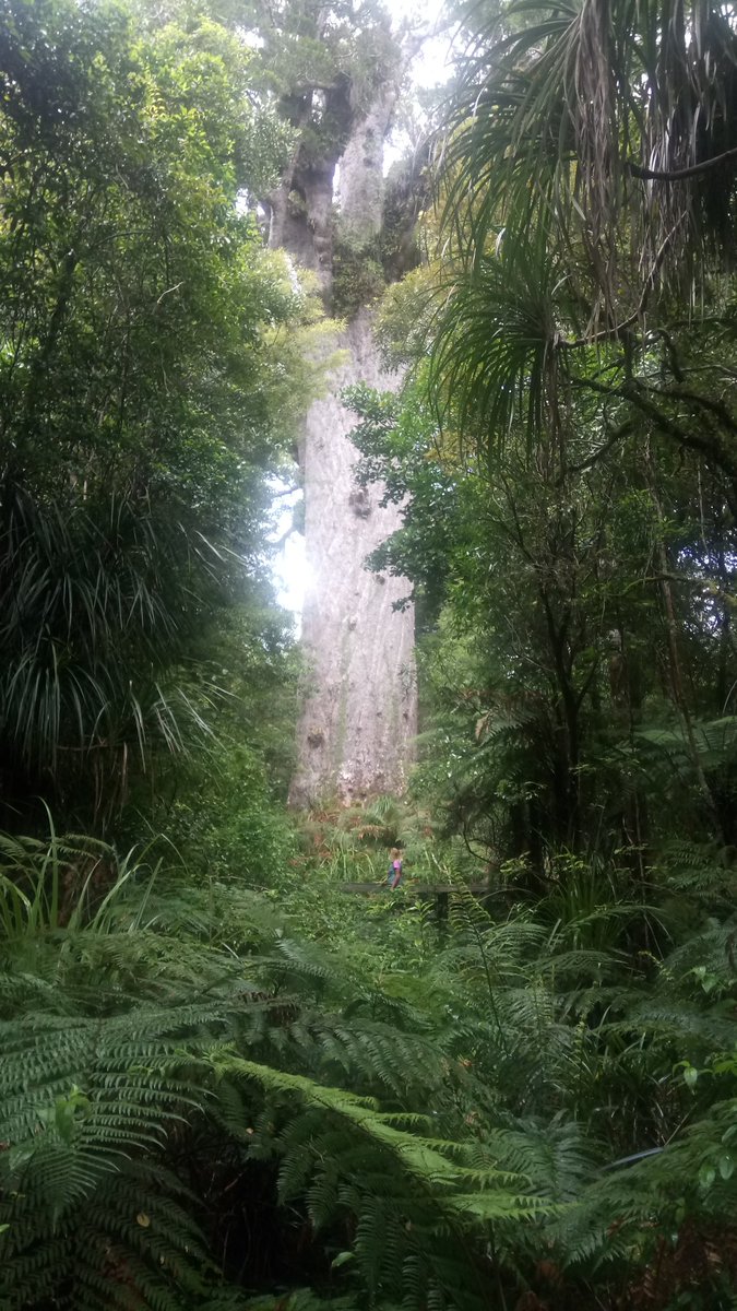 Environment GCA tweet media