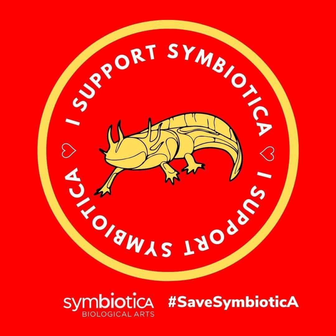 Hayley Beth tweet media