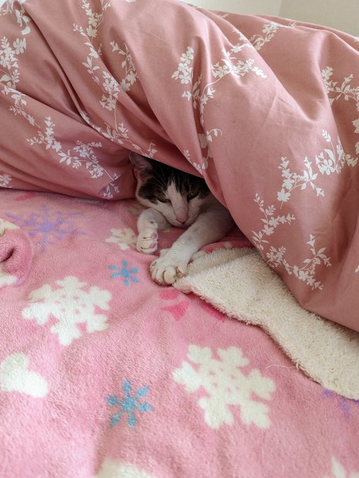 快適だねぇ 