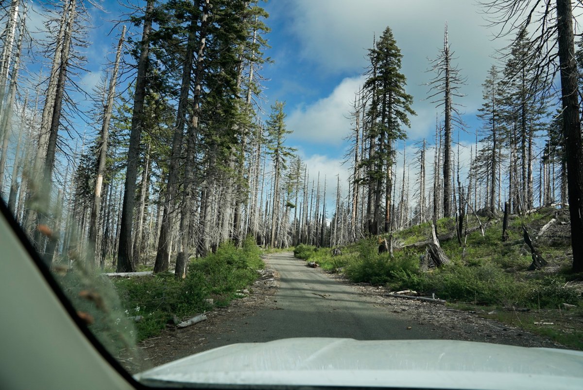 Girls Who Click tweet media