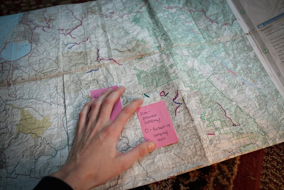 Girls Who Click tweet media