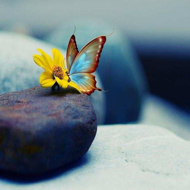 ستكبر وتعرف أن كل الطرق لا تؤدي إلى روما بل لما ترغب به، وأن الإبرة تضيع في كومة قش لكنك تجدها في النهاية، وأن سحابة الصيف فيها ظل وإن لم تمطر، وأن كل ما يتمنى المرء يدركه لو أصر، ستكبر وتعرف أن كل مشكلة وقعْتَ فيها لم تأخذ من قوتك شيئاً، بل صنَعَت منكَ شخصاً أفضل دون أن تشعر!