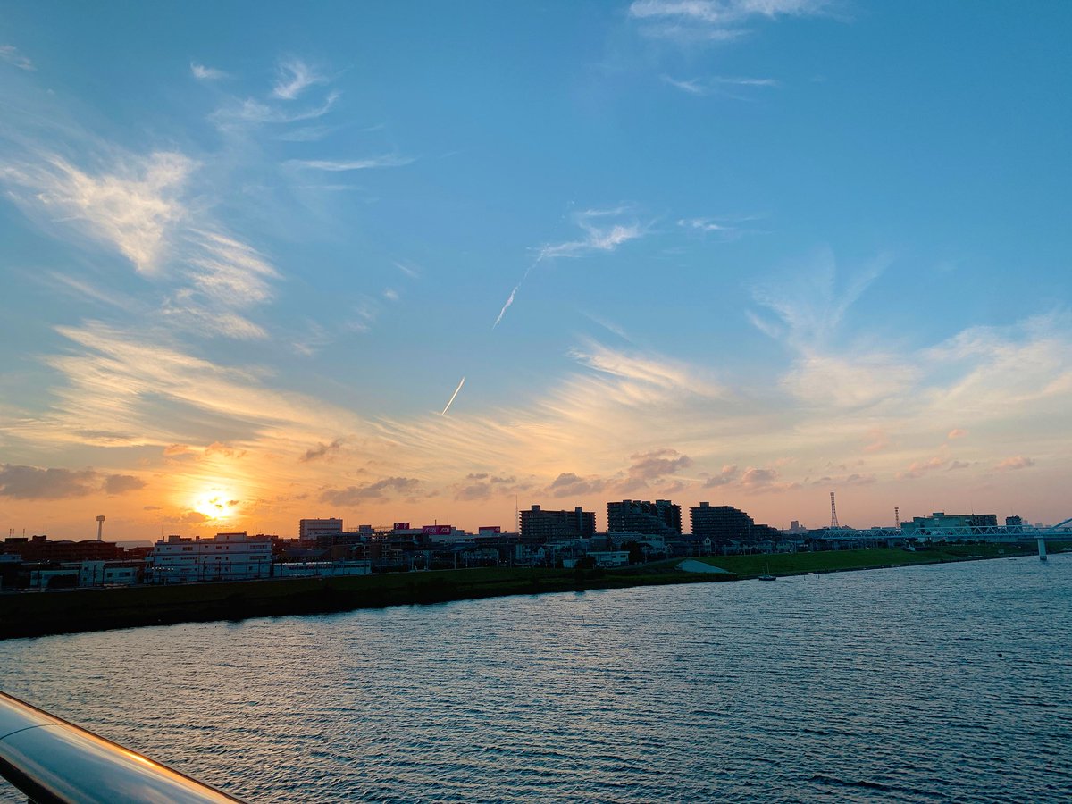 昼寝をしていたら「メンデルスゾーンの発生から1ヶ月後…」というナレーションで目が覚めました。なんだったんだろう…