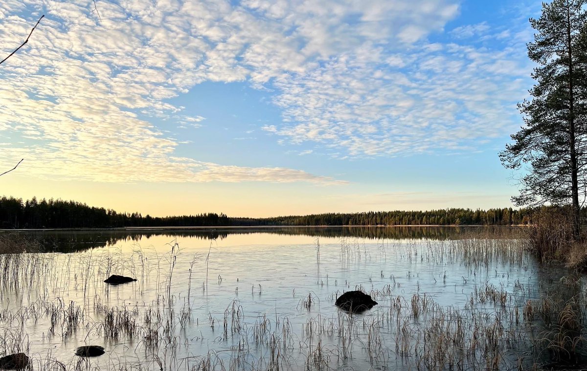 RitvaKnuuti's tweet photo. Taas hieno päivä tulossa ! #lokakuu #mittari -2 astetta https://t.co/mM933bCHx2