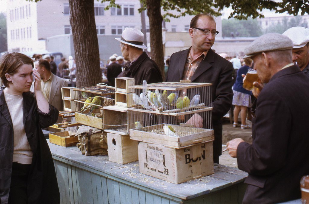 Птичий рынок. СССР. 1973 г.