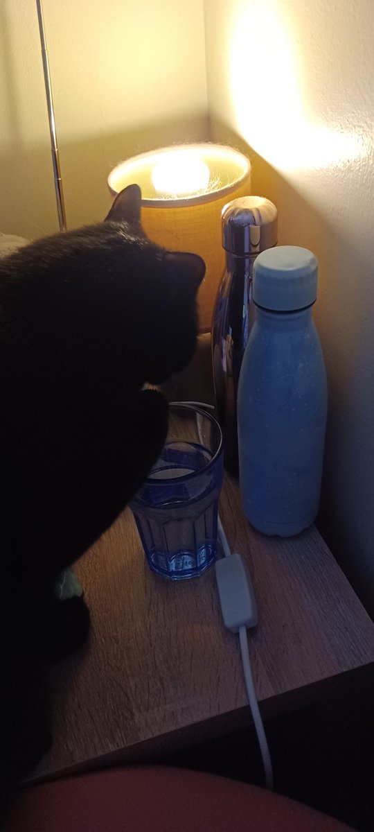 LifeastheGinge1's tweet photo. Sneaky Loki, neglecting hedgewatch duties to drink from mums water glass 😱😱 @Hedgewatchers https://t.co/rnEdLCLsbu