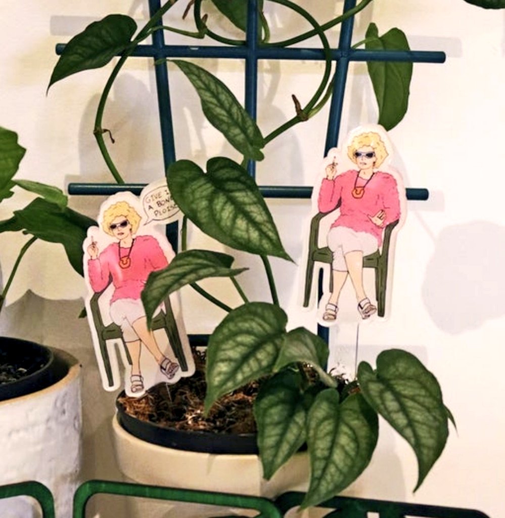 Sam D, Ph. D tweet media