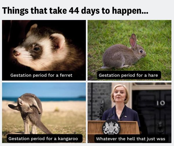 TomRed43's tweet image. #LizTruss #44days #44daysofhell