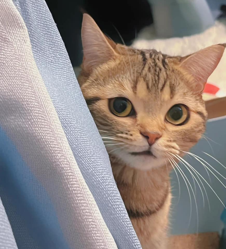 Take_Meow_Hand's tweet image. 😏