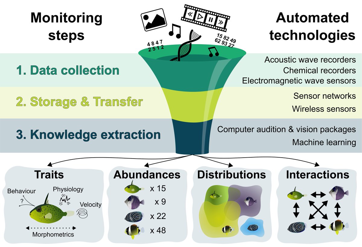 Marc BESSON (@bessonmarc) on Twitter photo "Towards the fully automated monitoring of ecological communities" is out in <a href="/Ecology_Letters/">Ecology Letters</a>
LINK➡️doi.org/10.1111/ele.14…
Very happy to see this published. Big clap to <a href="/jamiealison30/">Jamie Alison</a>, Kim Bjerge, <a href="/chofski/">Thomas Gorochowski</a>, <a href="/TokeHoye/">Toke Thomas Høye</a>, @tommaso_jucker, <a href="/HjalteMann/">Hjalte Mann</a>, @DrChrisClements #OpenAccess "Towards the fully automated monitoring of ecological communities" is out in <a href="/Ecology_Letters/">Ecology Letters</a>
LINK➡️doi.org/10.1111/ele.14…
Very happy to see this published. Big clap to <a href="/jamiealison30/">Jamie Alison</a>, Kim Bjerge, <a href="/chofski/">Thomas Gorochowski</a>, <a href="/TokeHoye/">Toke Thomas Høye</a>, @tommaso_jucker, <a href="/HjalteMann/">Hjalte Mann</a>, @DrChrisClements #OpenAccess