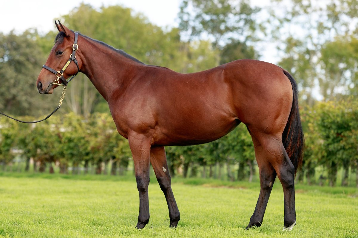 Arcadia Elevage tweet media