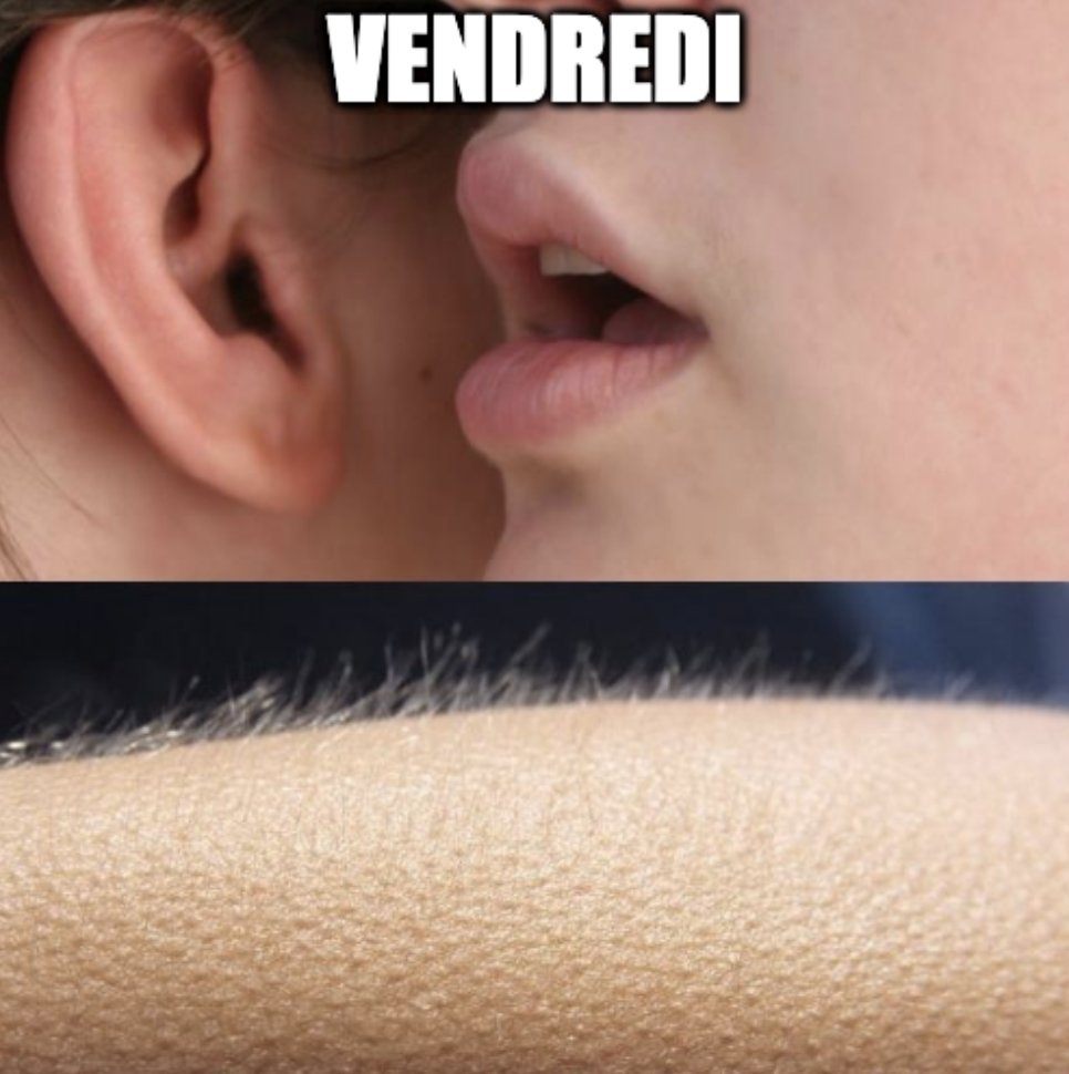 Vous aussi ça vous fait le même effet ? 😂

Toute l'équipe B&amp;Co vous souhaite un très bon #weekend !

#workspace