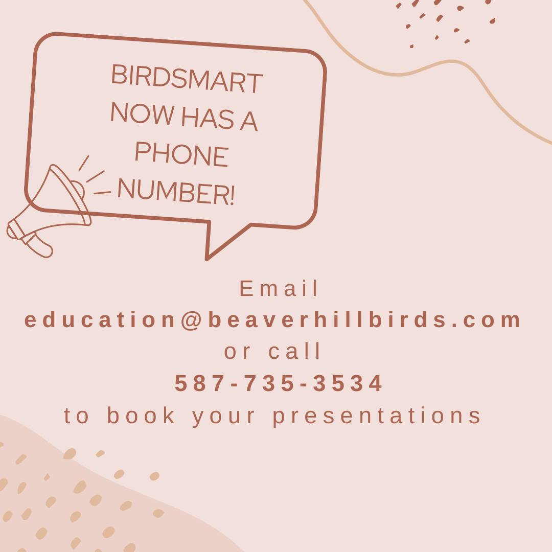 BBO (@beaverhillbirds) on Twitter photo 