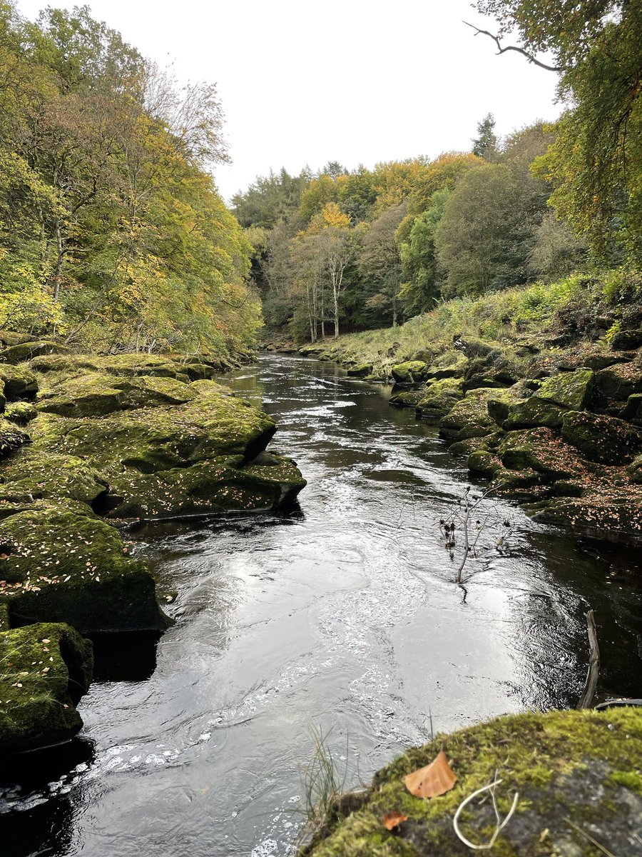 The Strid, the UK’s most dangerous stretch of water #shorts #thestrid #yorkshire #riverwharfe

Video youtube.com/shorts/kISFG8F…