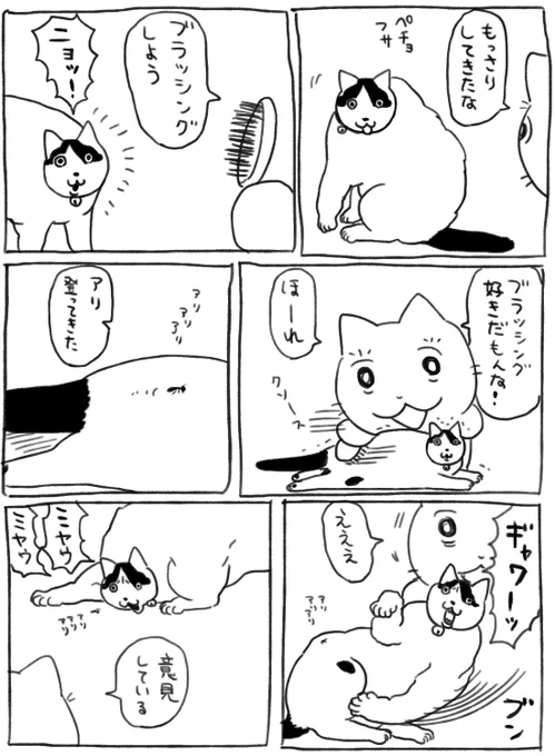 不快絶許猫 