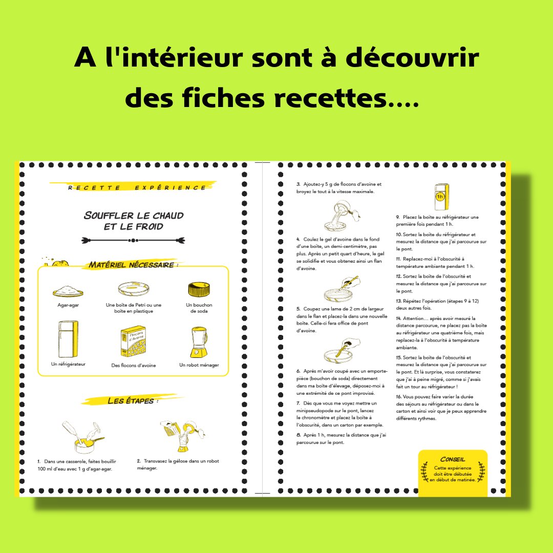 humensciences's tweet photo. 🎉JEU CONCOURS🎉
Tentez de gagner un blob et son autobiographie (il a tout de même été aidé par @Docteur_Drey et @simon_bailly pour l'écrire et la dessiner) en vous abonnant à notre compte Humensciences et en partageant ce post avant dimanche 23 octobre ! 🍾📚 https://t.co/5lnC9NGUtO