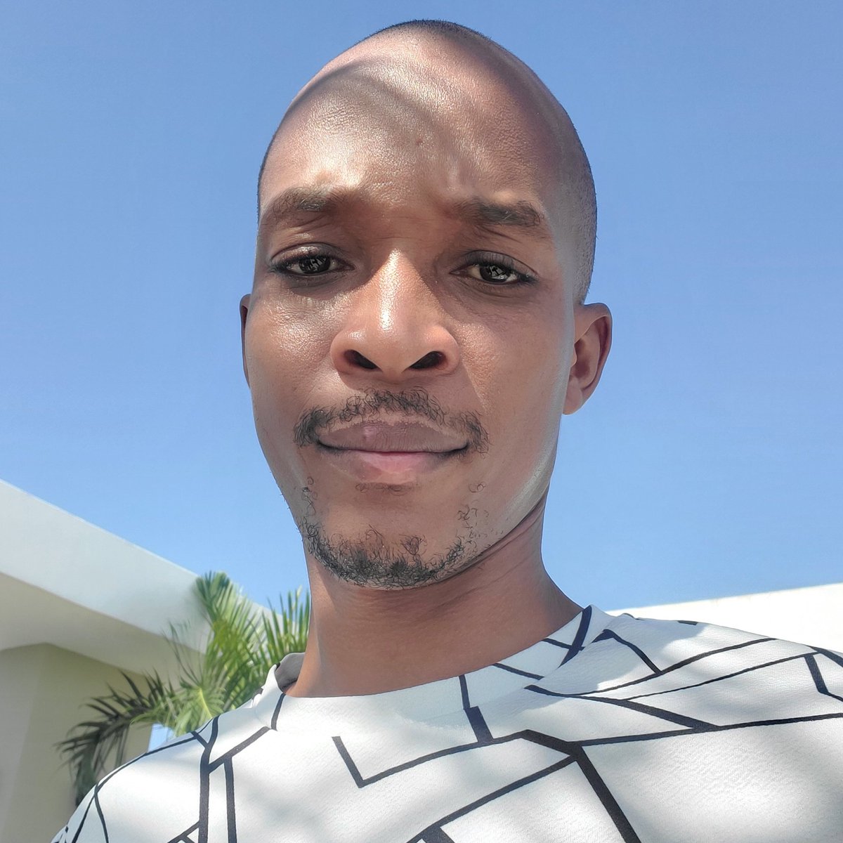 FanfanTiBot's tweet image. #NuevaFotoDePerfil