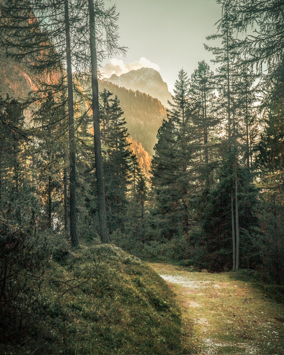 Luca__Ramble's tweet photo. Somewhere in Trentino 🇮🇹 #folkmagazine #folkscenery #moodygram #moodygrams #igmasters #openmyworld #stayandwander #folkgreen #wildernessculture #folkvibe #welcomenature #hiking #naturephotography #neverstopexploring #exploremore #southtyrol #visititaly #dolomites https://t.co/PIsU7swNG1