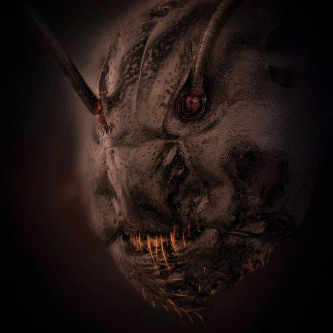 Just in time for Halloween. snopes.com/fact-check/rea…