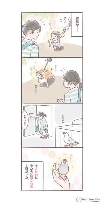 何故かいつになく小さいのから注目を浴びた1日だった(みんな可愛い)
#文鳥 
#bunchoslife 
#4コマ漫画 