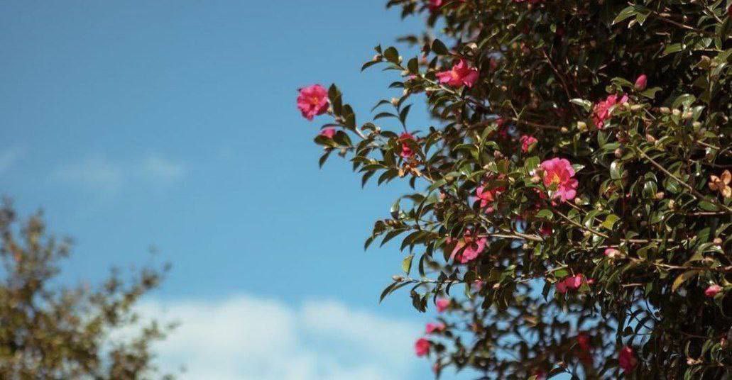 قال شيخ الإسلام  رحمه الله :

فمن أحسَّ بتَقصيرِِ في قوله، أو عمله، أو حاله، أو رزقه، أو تقلّب قلب: فعليه بالتوحيد والاستغفار ففيهما الشفاء!. 

[الفتاوى: ( ١١ / ٦٩٨ ) ]