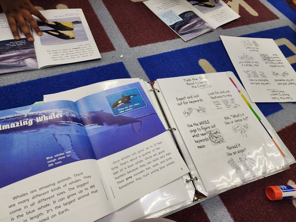 firstgrade209's tweet image. Small-group instruction allows me to evaluate students&apos; learning strengths and tailor lessons to them. #decodablereading #leveledreading #independentreading