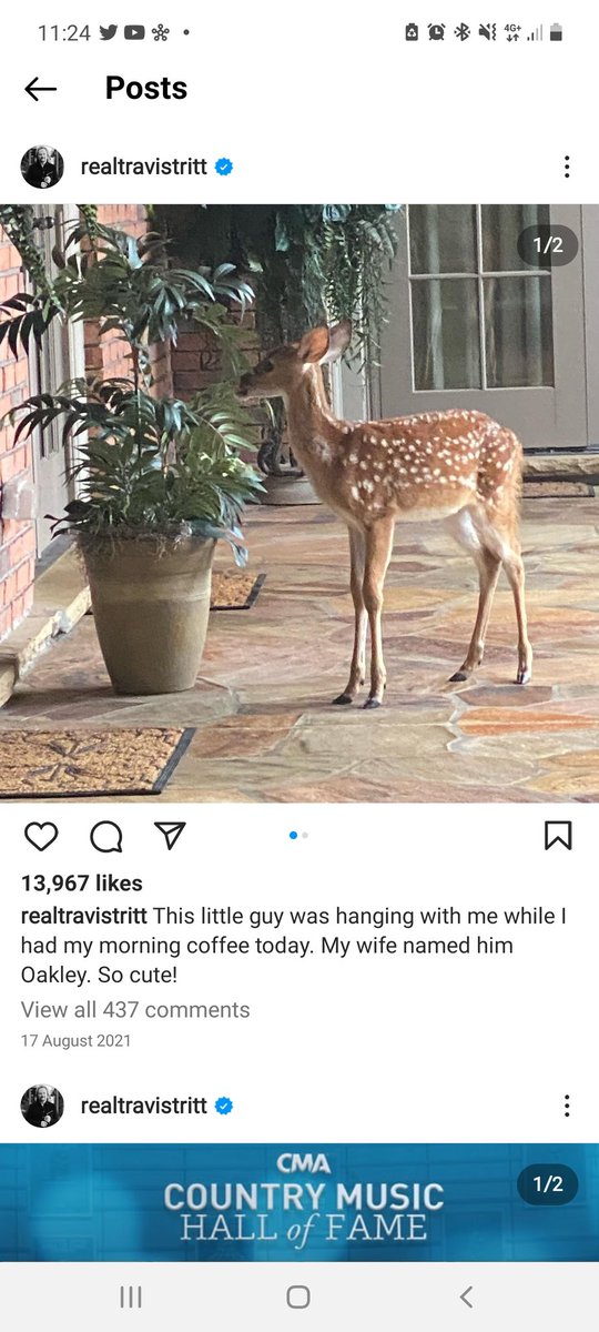AlidaAlana's tweet photo. @thebutcher854 @Travistritt Sheesh. @thebutcher854 not sure what was so offensive about your comment, but.... judging by Travis's ig he meet this baby last year. https://t.co/GMoXH9BjsT