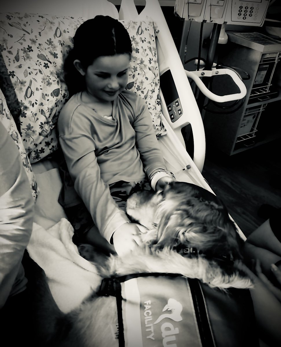 MrsCrazyCoach's tweet photo. One of the reasons we support the #strikeoutcancer event is because we watched my niece beat leukemia at 5 years old. Now at 8yo it has returned and she’s got to battle this awful disease again. If you’d like to help, I’ll drop a link below. Prayers are welcomed ❤️@crazycoach_tv https://t.co/DiO33MG4yy