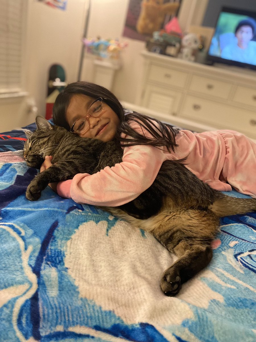 Kitten’s Pokémon TCG Grabs tweet media