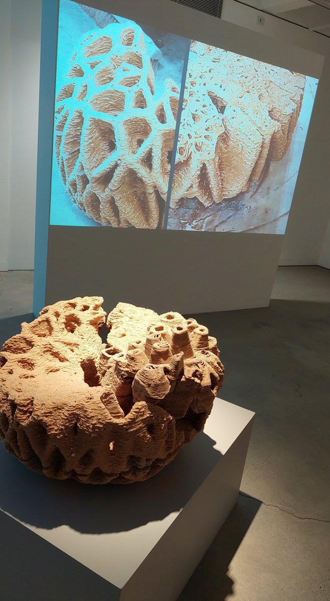 RoboticBuilding's tweet photo. Yesterday's opening is followed up by tomorrow's presentation (https://t.co/zL33tWZ6rO) on research @BKTUDelft @TUDelftDRI! https://t.co/V76xpiPTQk