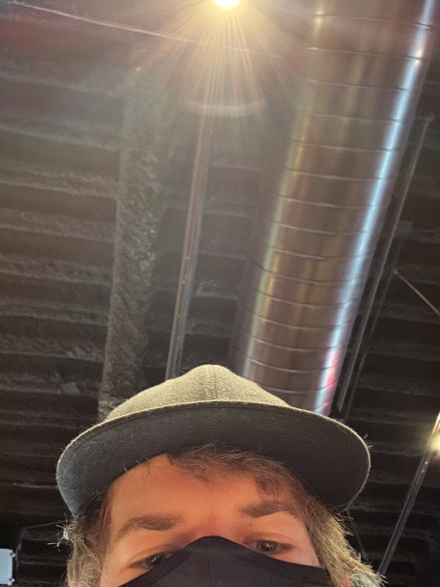 bean-on-twitter-this-silly-little-guy-they-make-me-so-happy-i