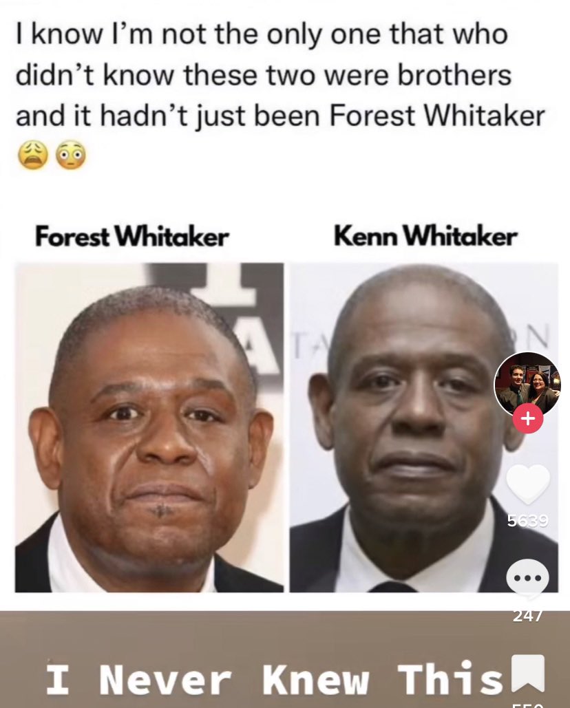 Kafayı yemek üzereyim 🤪 gerçek mi troll mü?