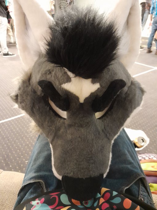 omg what are you doing stepwolf? ??
#fursuit https://t.co/2MGp27yKO9